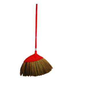 Broom Thailan Version