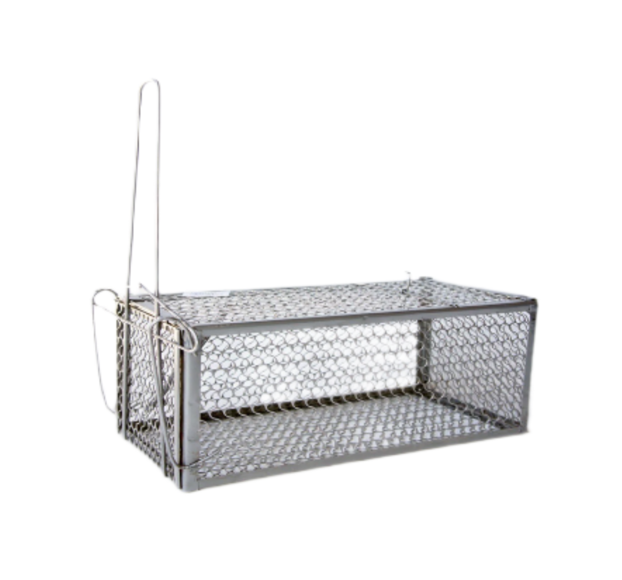 STAINLESS STEEL MOUSE TRAP CAGE