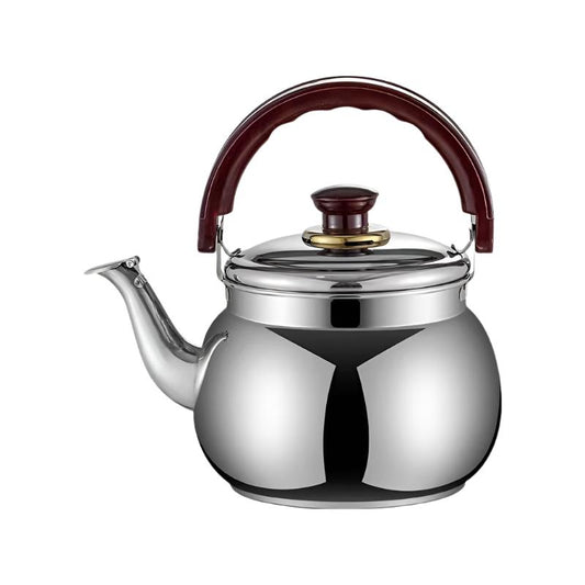 STAINLESS STEEL TEA KETTLE